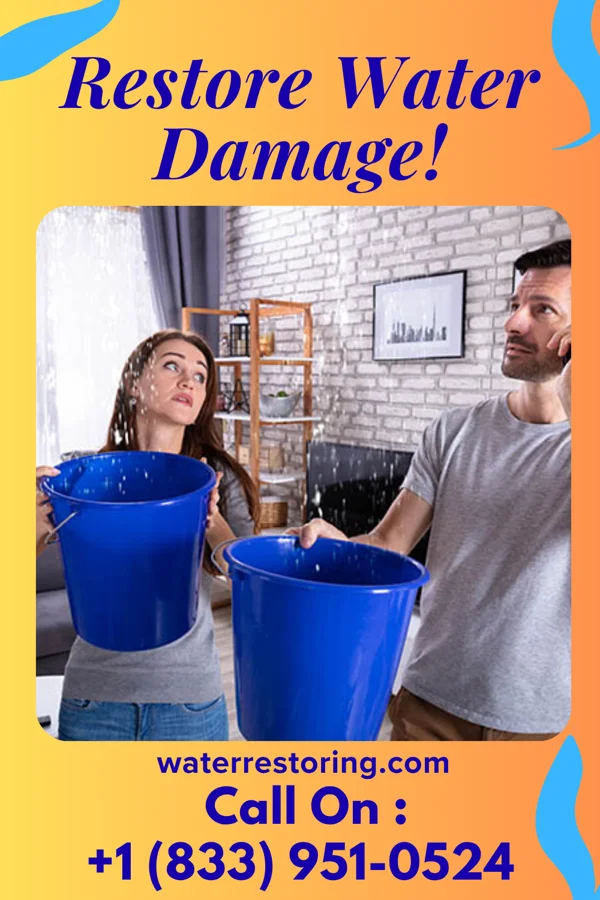 water restoration Capital Emergency Restoration Services Eclectic